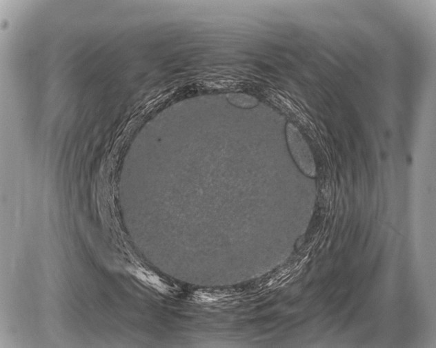 X0000087420817200704201423