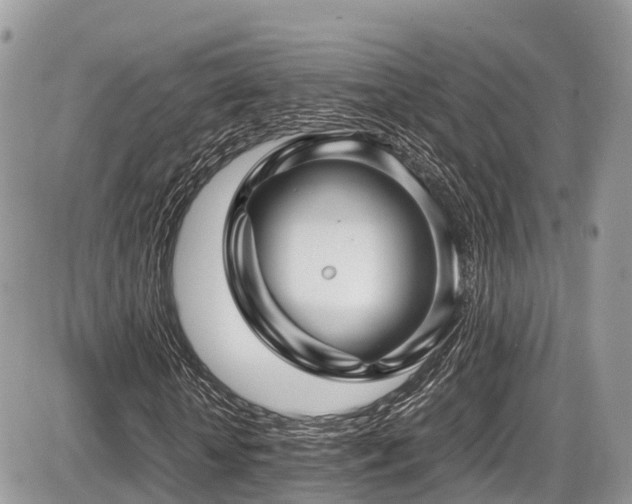 X0000087420818200704201423