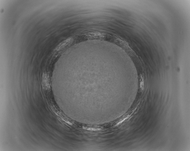 X0000087420819200704201423