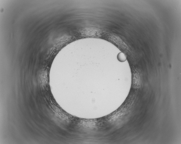 X0000087420820200704201423