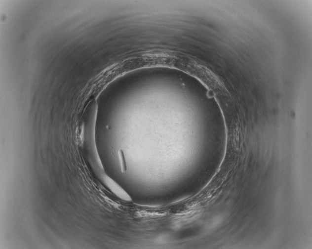 X0000087420821200704201423