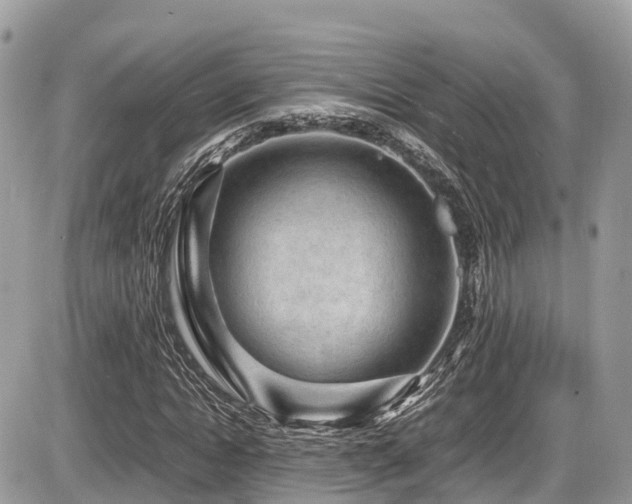 X0000087420822200704201423