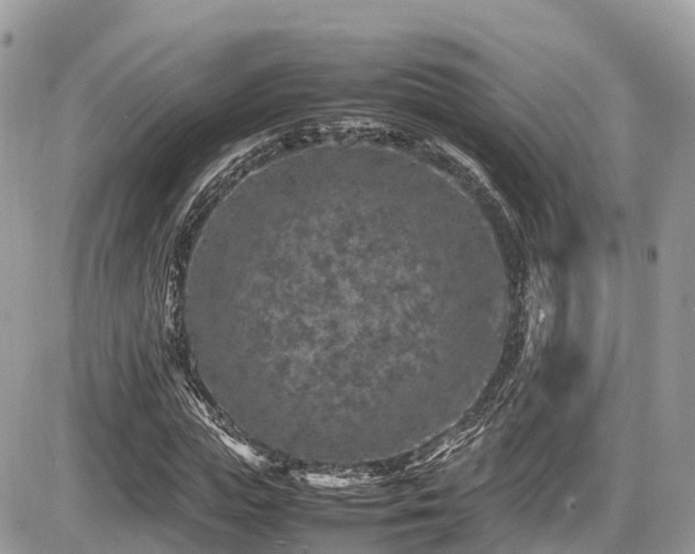 X0000087420823200704201423