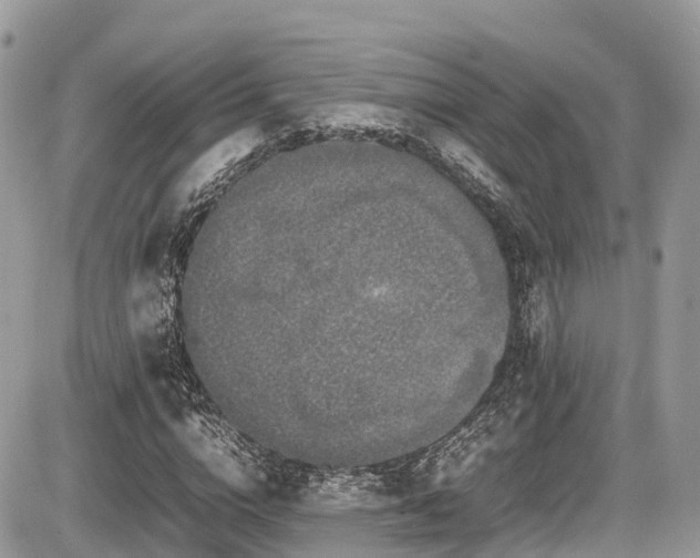 X0000087420824200704201423