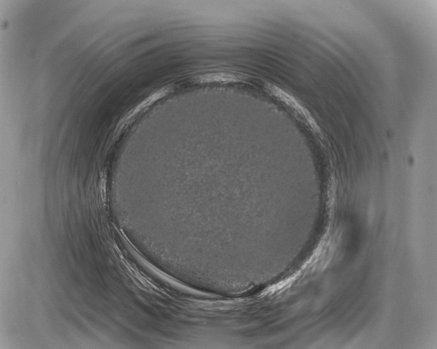 X0000087420825200704201423