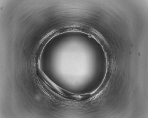 X0000087420826200704201423