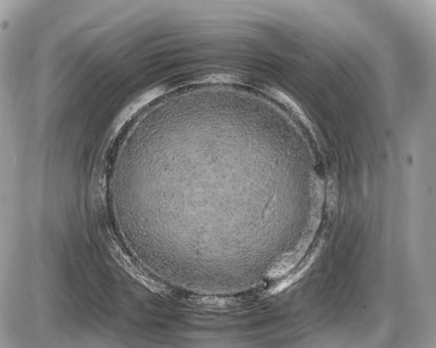 X0000087420827200704201423