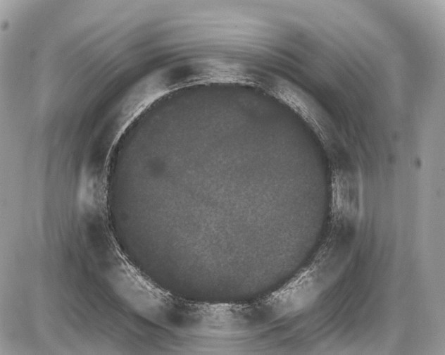 X0000087420828200704201423