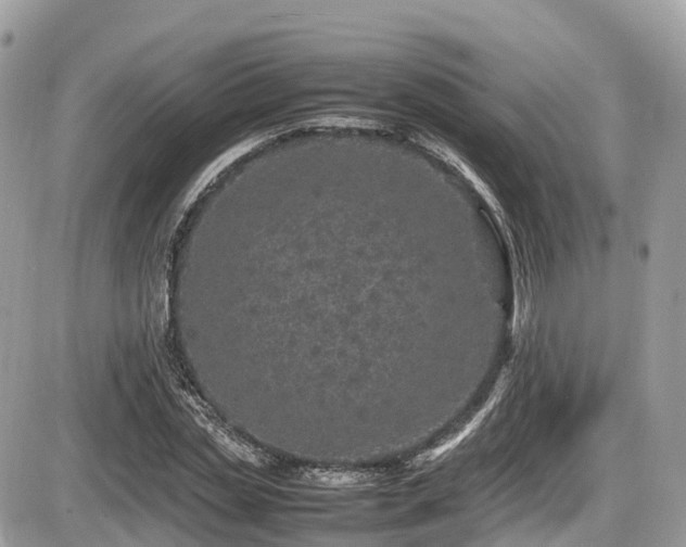 X0000087420829200704201424