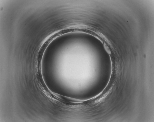 X0000087420830200704201424