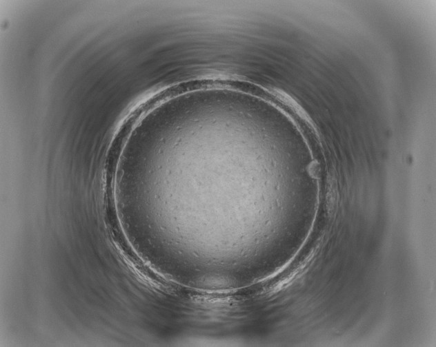 X0000087420831200704201424