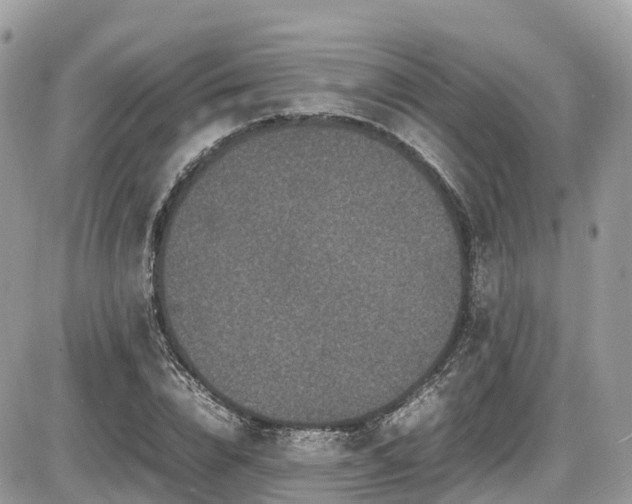 X0000087420832200704201424