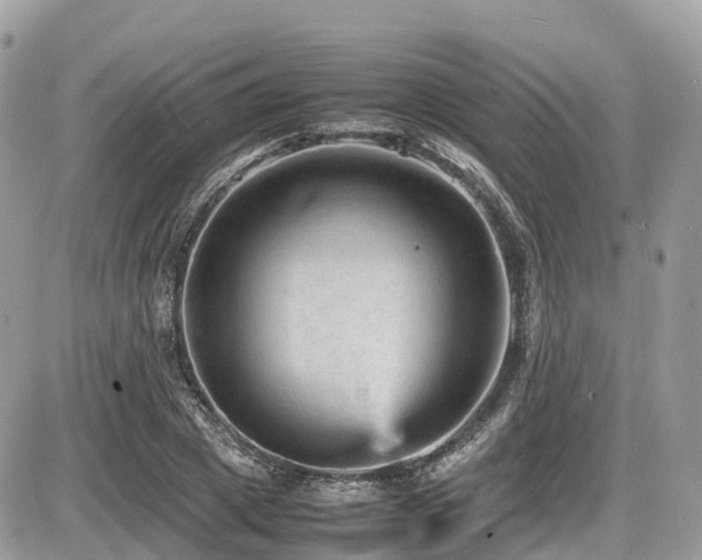 X0000087420833200704201424