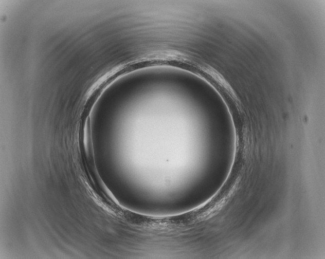 X0000087420834200704201424