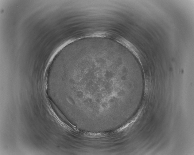 X0000087420835200704201424