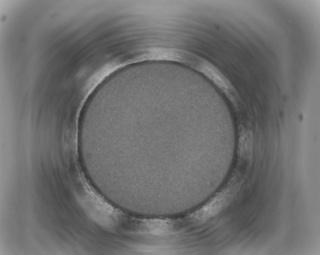 X0000087420836200704201424