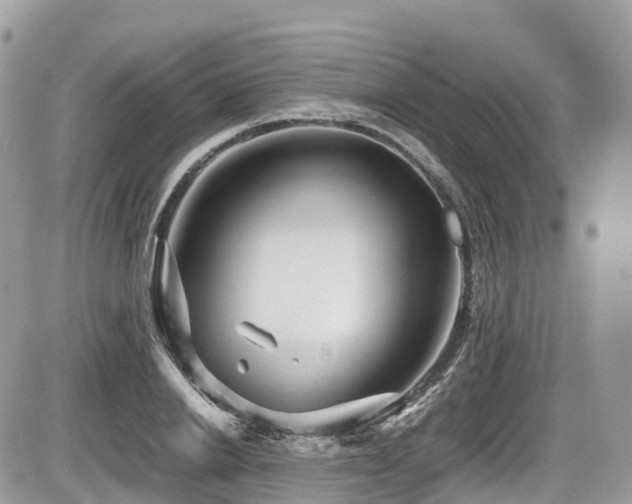 X0000087420838200704201424