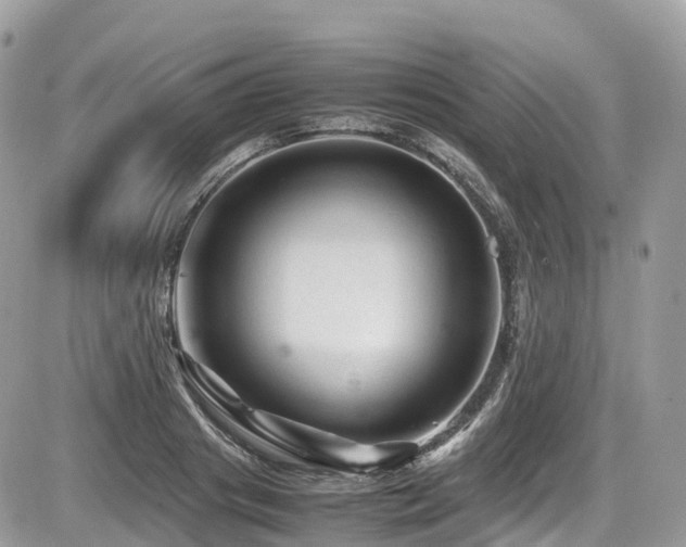 X0000087420841200704201424