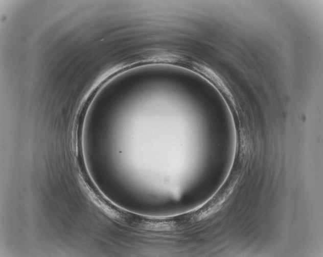 X0000087420843200704201424