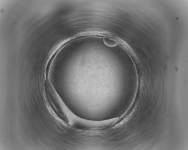 X0000087420844200704201424