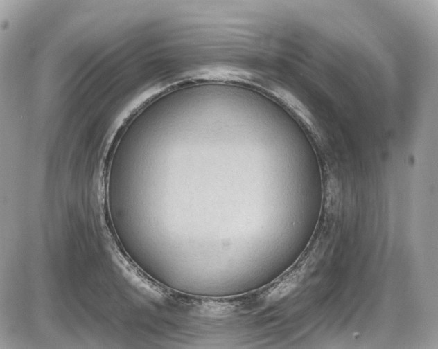 X0000087420848200704201424