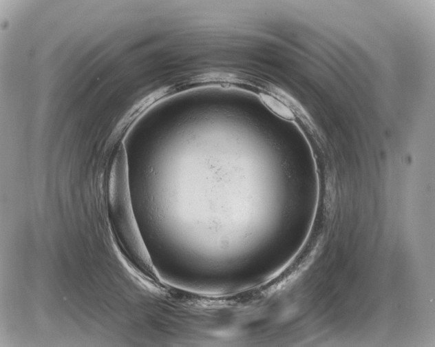 X0000087420849200704201424