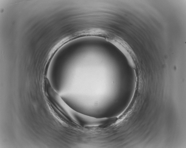 X0000087420850200704201424