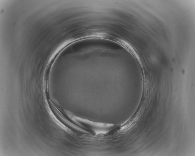 X0000087420851200704201424