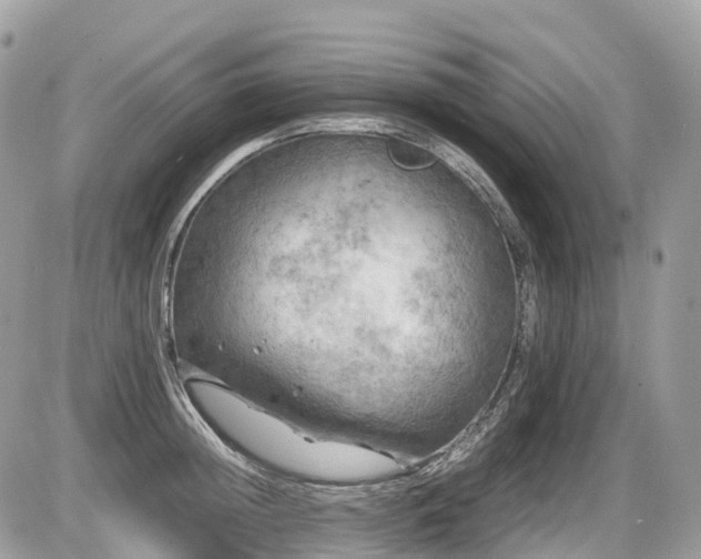 X0000087420852200704201424