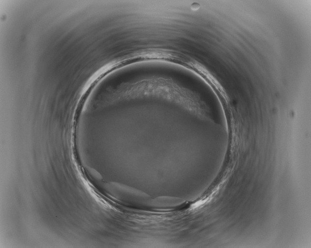 X0000087420853200704201424