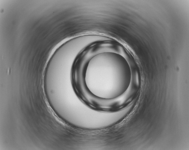 X0000087420854200704201424