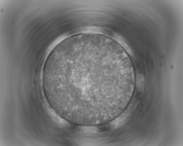 X0000087420856200704201424