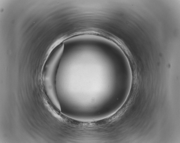 X0000087420858200704201424