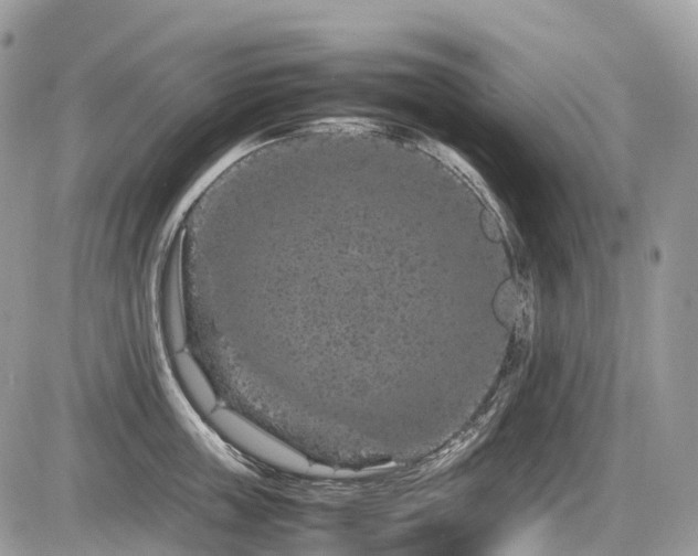 X0000087420859200704201424