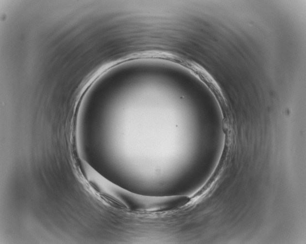 X0000087420860200704201424