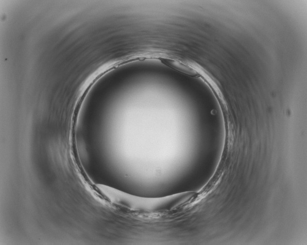 X0000087420861200704201424