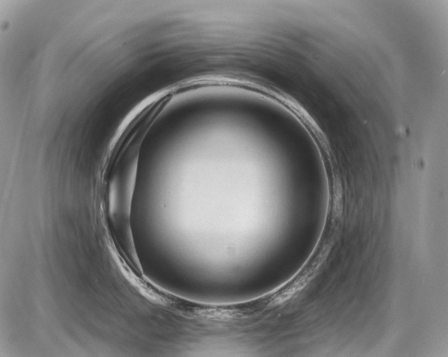 X0000087420862200704201424