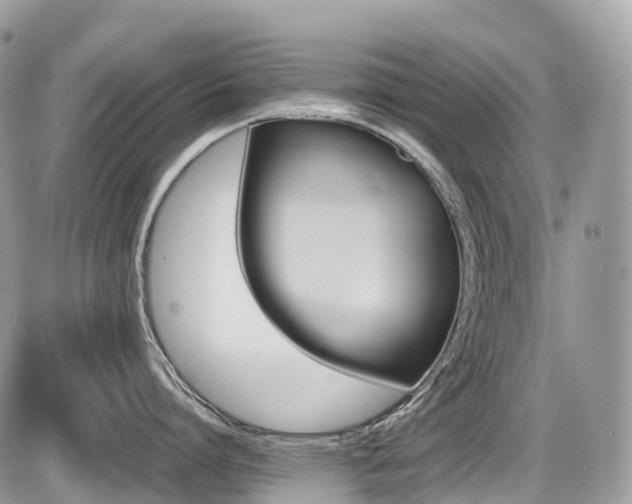 X0000087420864200704201424