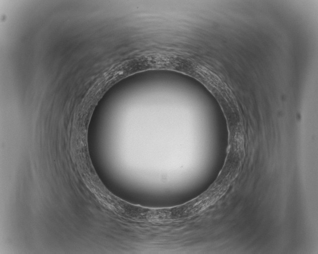 X0000087420865200704201423