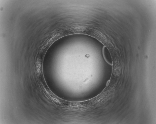 X0000087420866200704201423