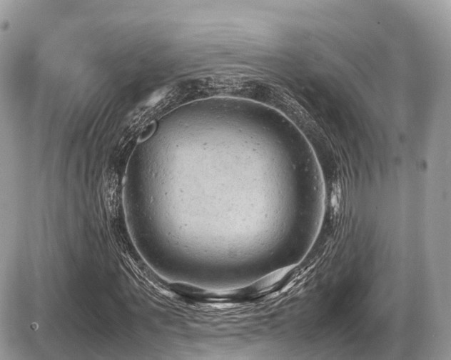 X0000087420867200704201423