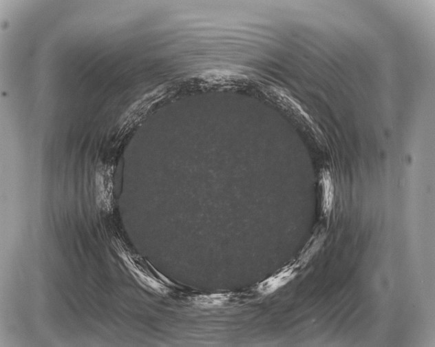 X0000087420868200704201423