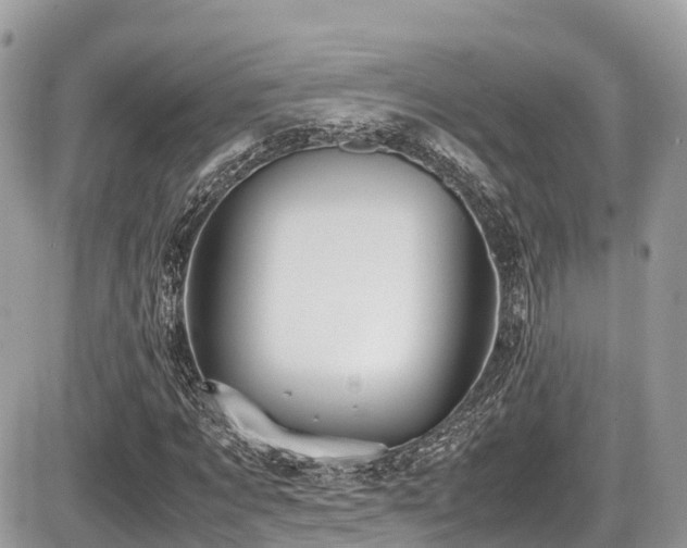 X0000087420869200704201423