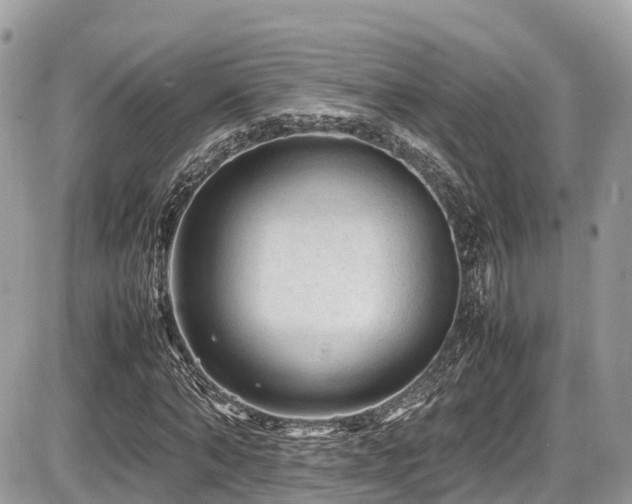 X0000087420870200704201423