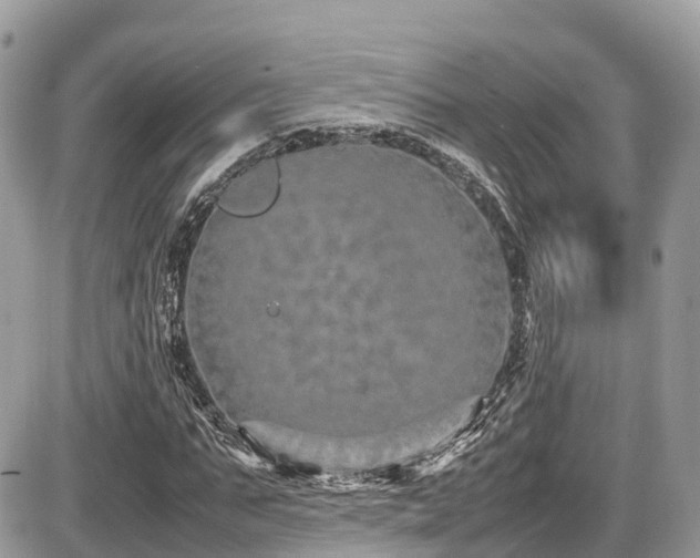 X0000087420871200704201423