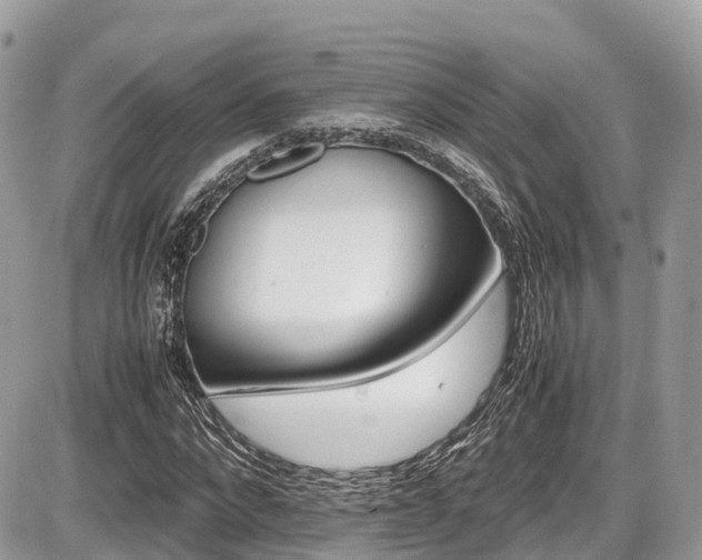 X0000087420872200704201423