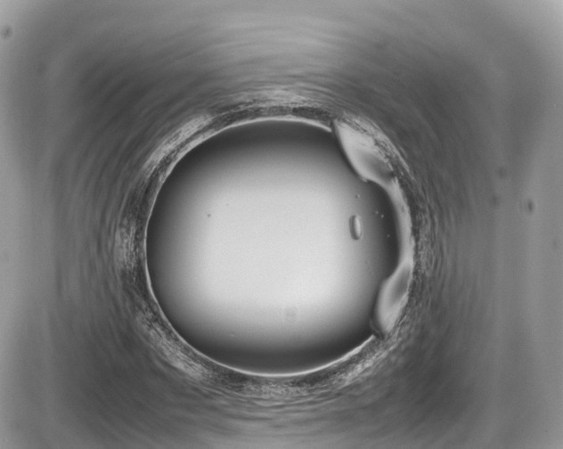 X0000087420873200704201423