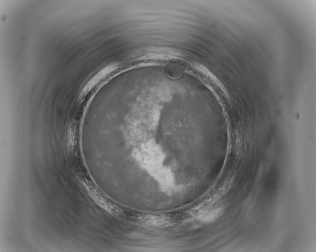 X0000087420874200704201423