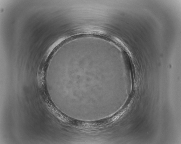 X0000087420875200704201423