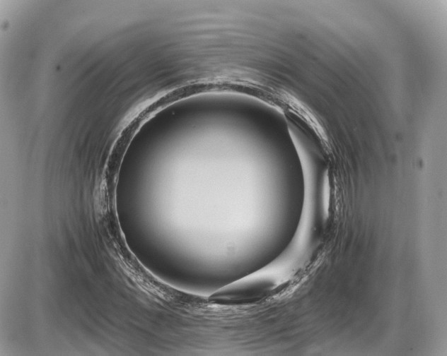 X0000087420876200704201423